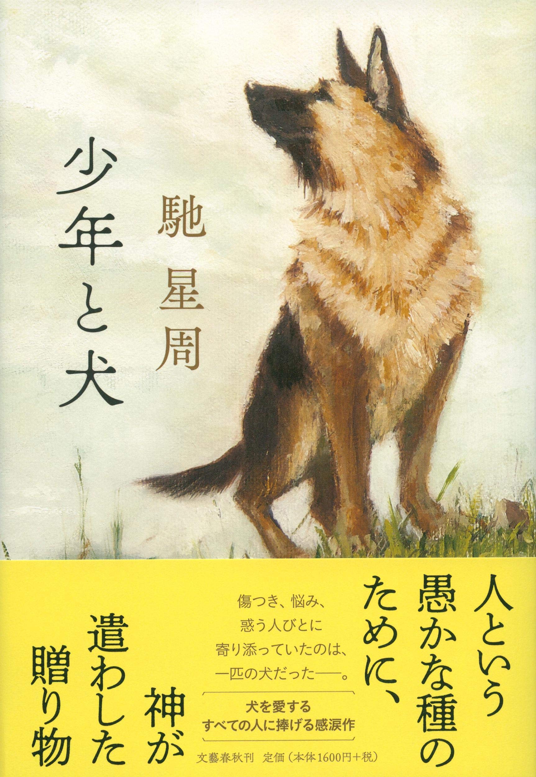 映画化で話題の直木賞作『少年と犬』結末ネタバレと実話説の真相