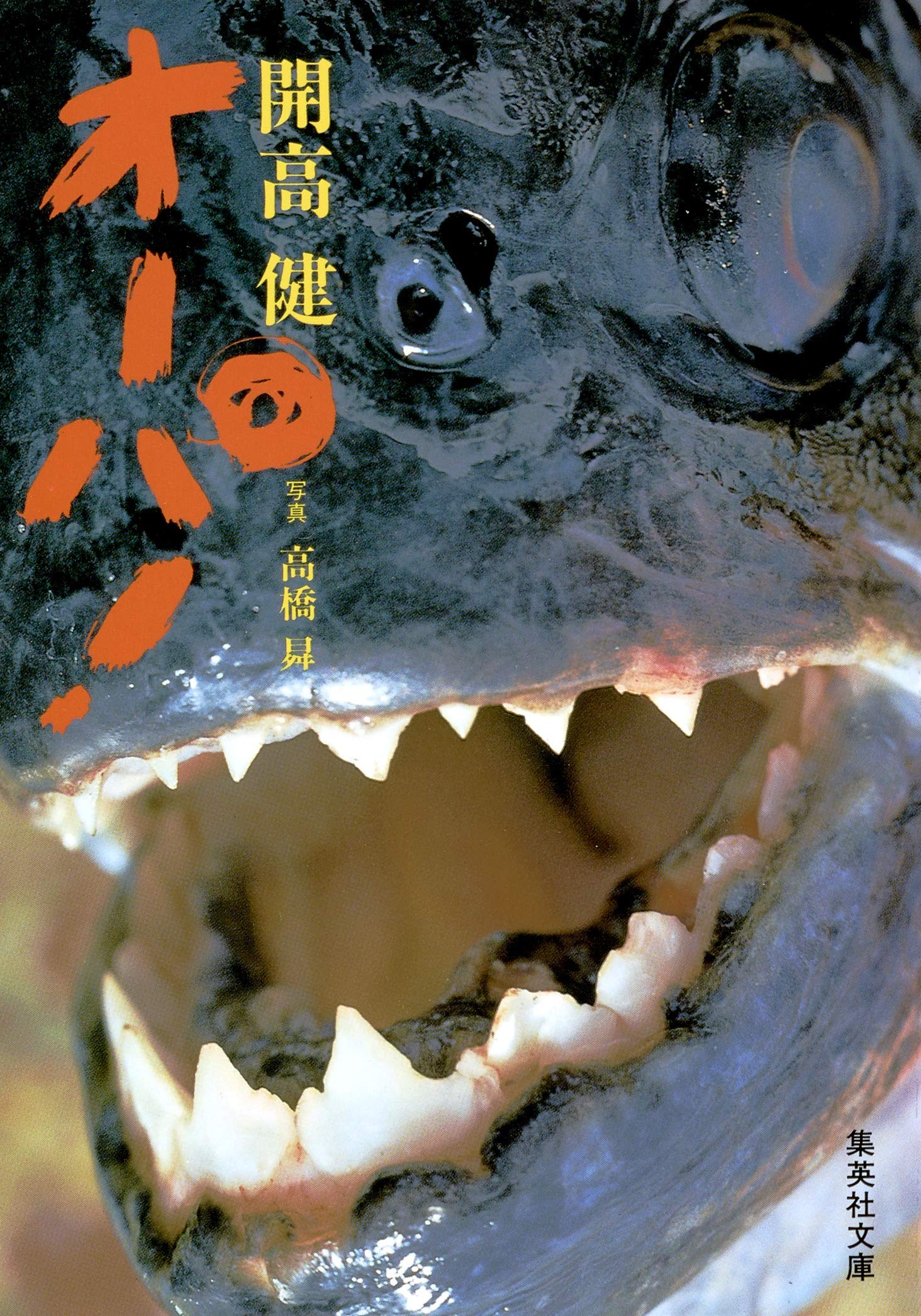 『オーパ！』の真実：開高健がアマゾン奥地で見た衝撃と名言の背景