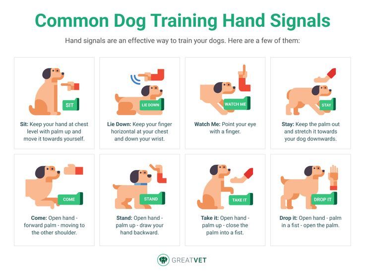 Printable Dog Training Hand Signals Chart Pdf
