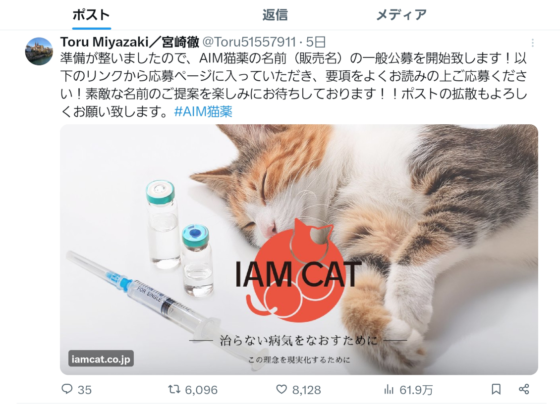 猫の腎臓病新薬Aimはいつ発売？治験の現在地と実用化の真相2026