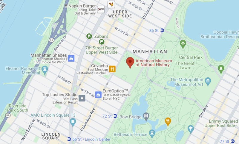 How to Get to the Natural History Museum