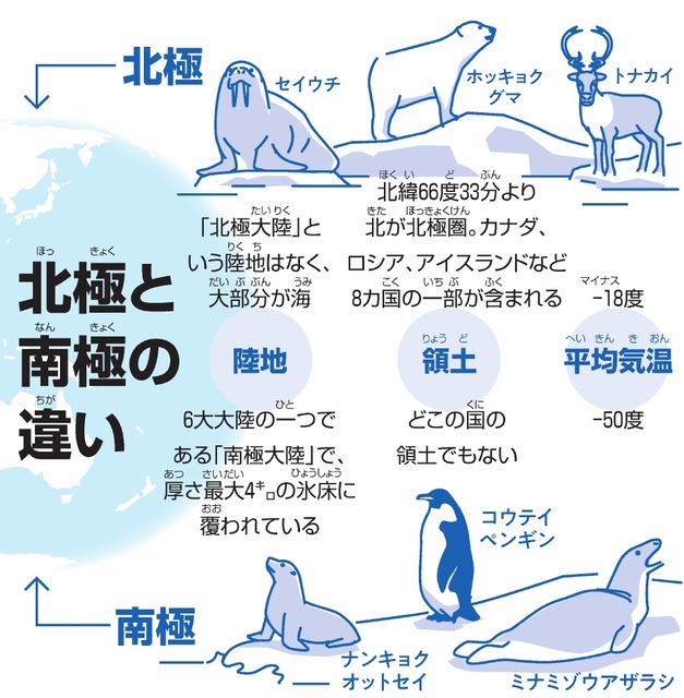 北極と南極はどっちが寒い？気温差30度の衝撃事実と科学的理由を解明
