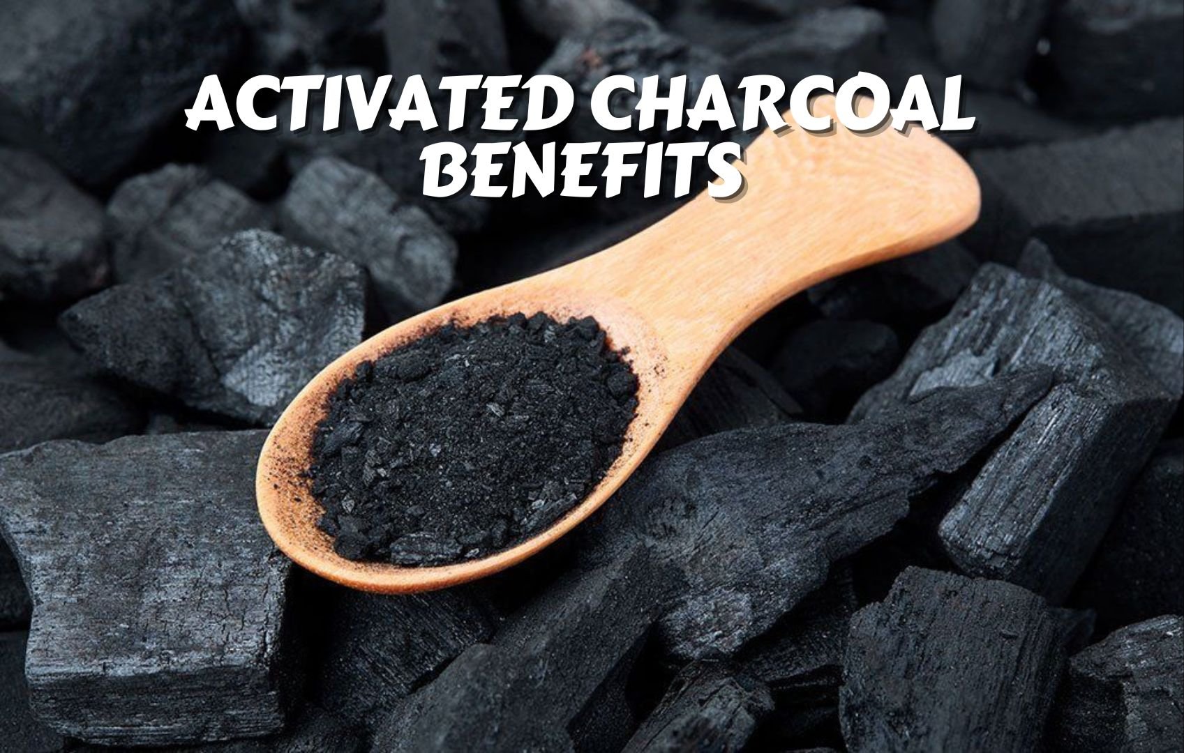 Activated Charcoal for Human Consumption