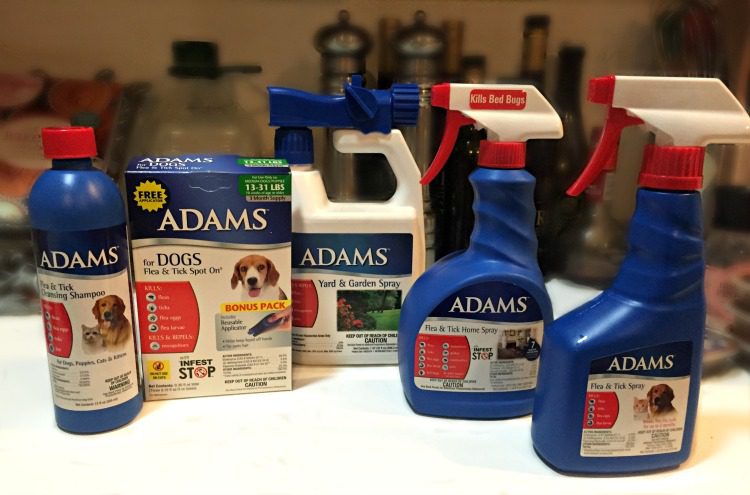 Directions for Adams Flea and Tick Spray