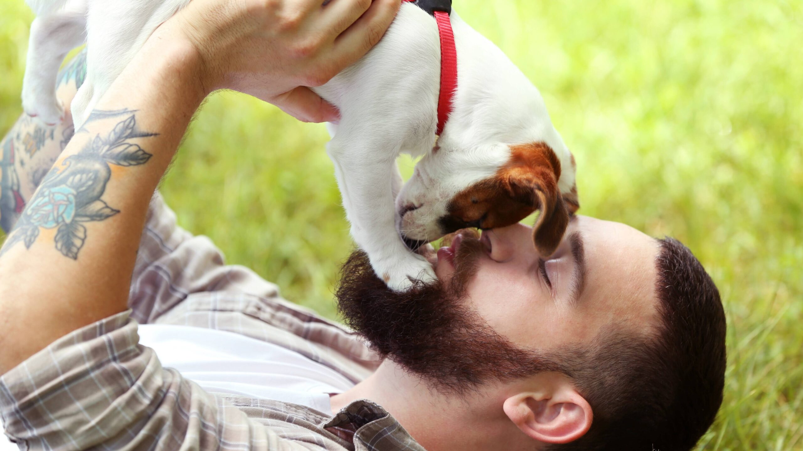 犬が顔をしつこく舐める理由は？心理の真相と潜む健康リスクを徹底解説