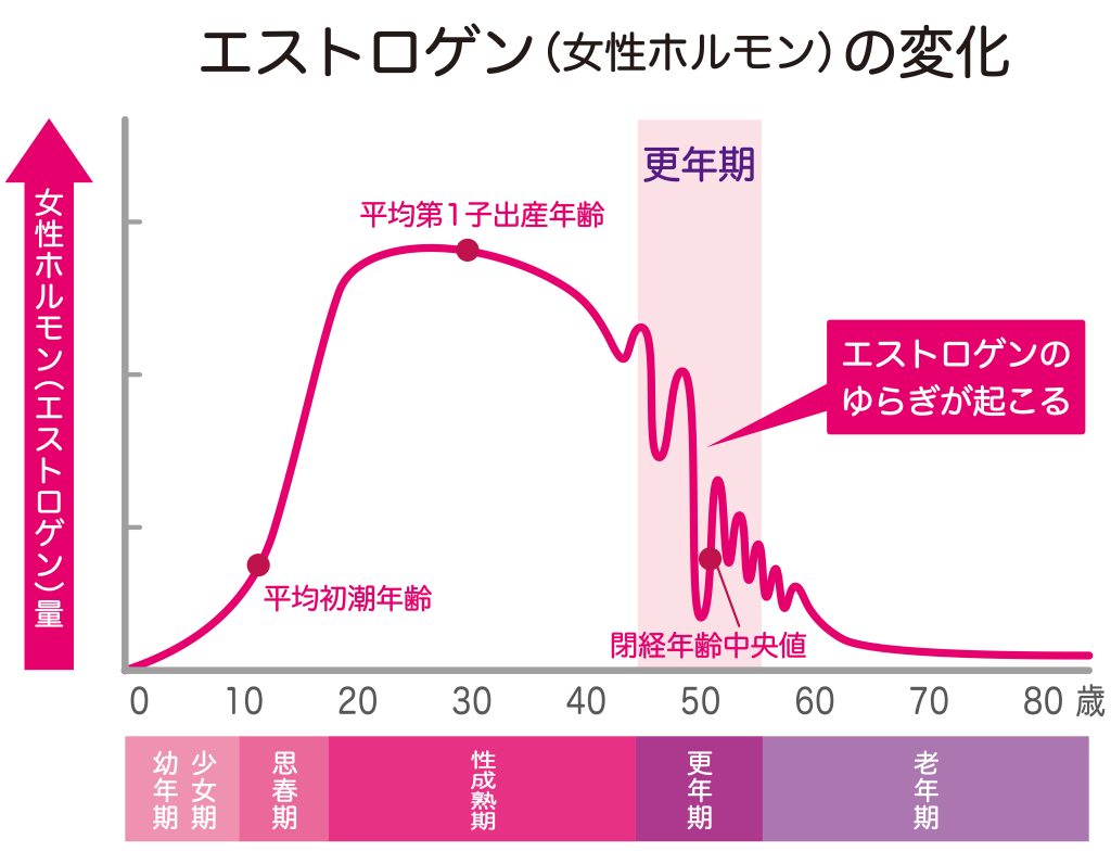 当帰芍薬散で太る副作用の真相は？体重増加の理由と正しい服用法を解明