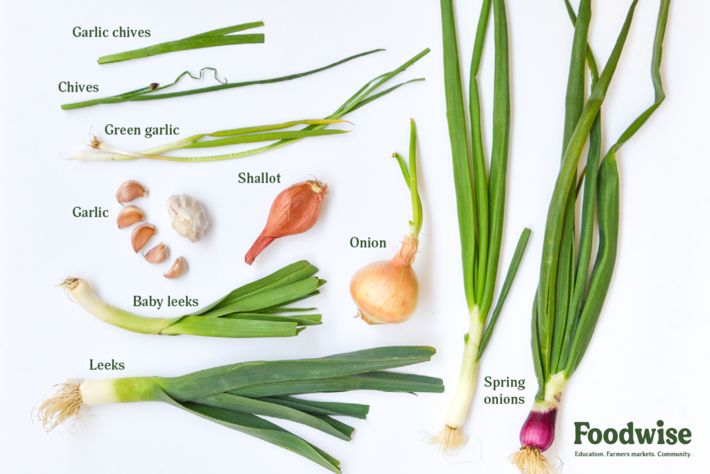 Vegetable Similar to Onion