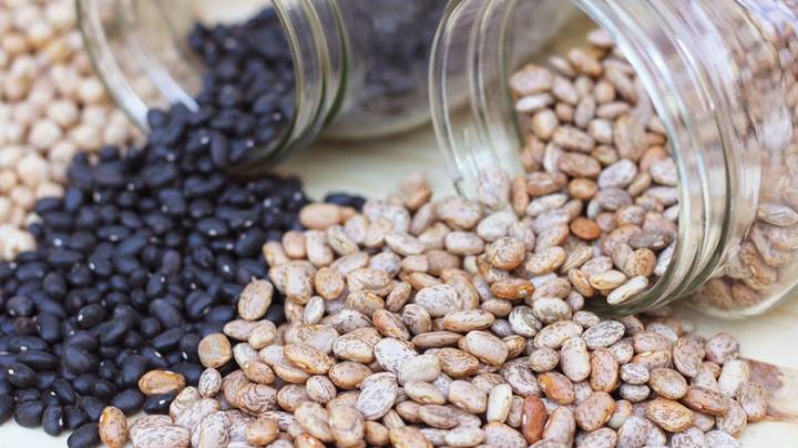 Another Name for Pinto Beans