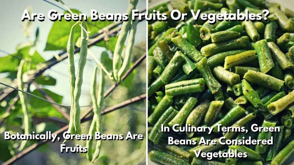 Beans a Fruit or a Vegetable