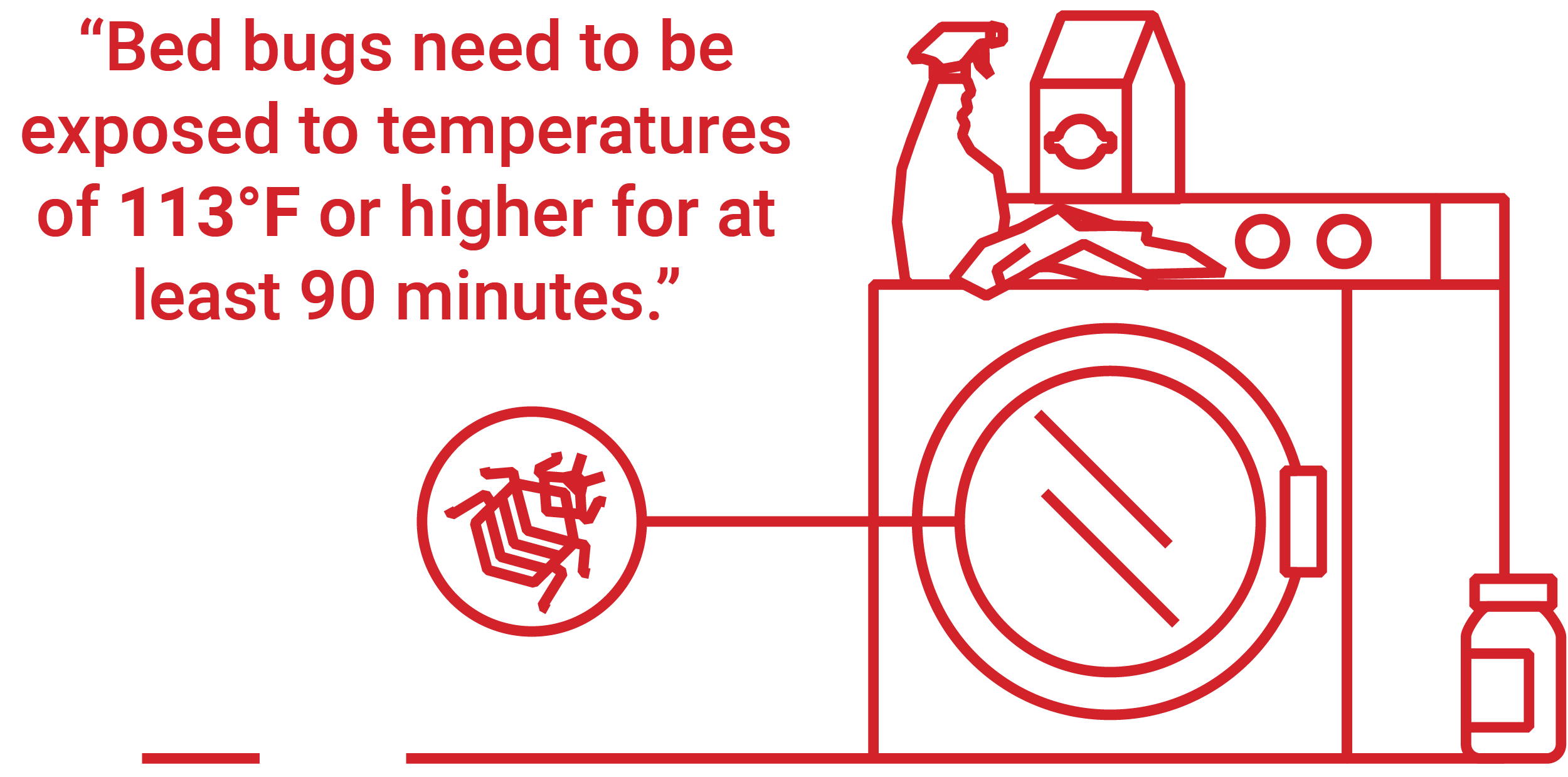 How Long in Dryer to Kill Bed Bugs