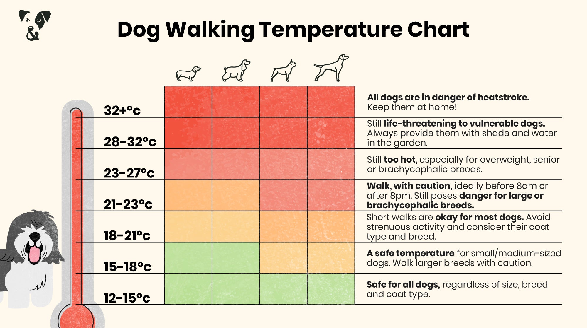 What Temperature Is Safe to Walk Dogs