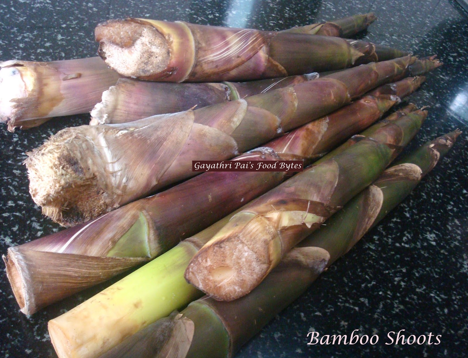 Are All Bamboo Shoots Edible