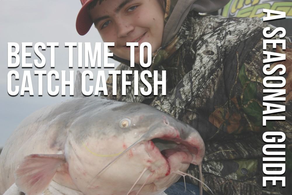 What's the Best Time to Catch Catfish