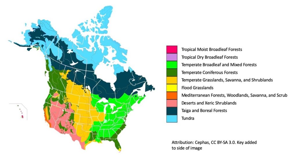 What Biome in North America Has the Lowest Biodiversity