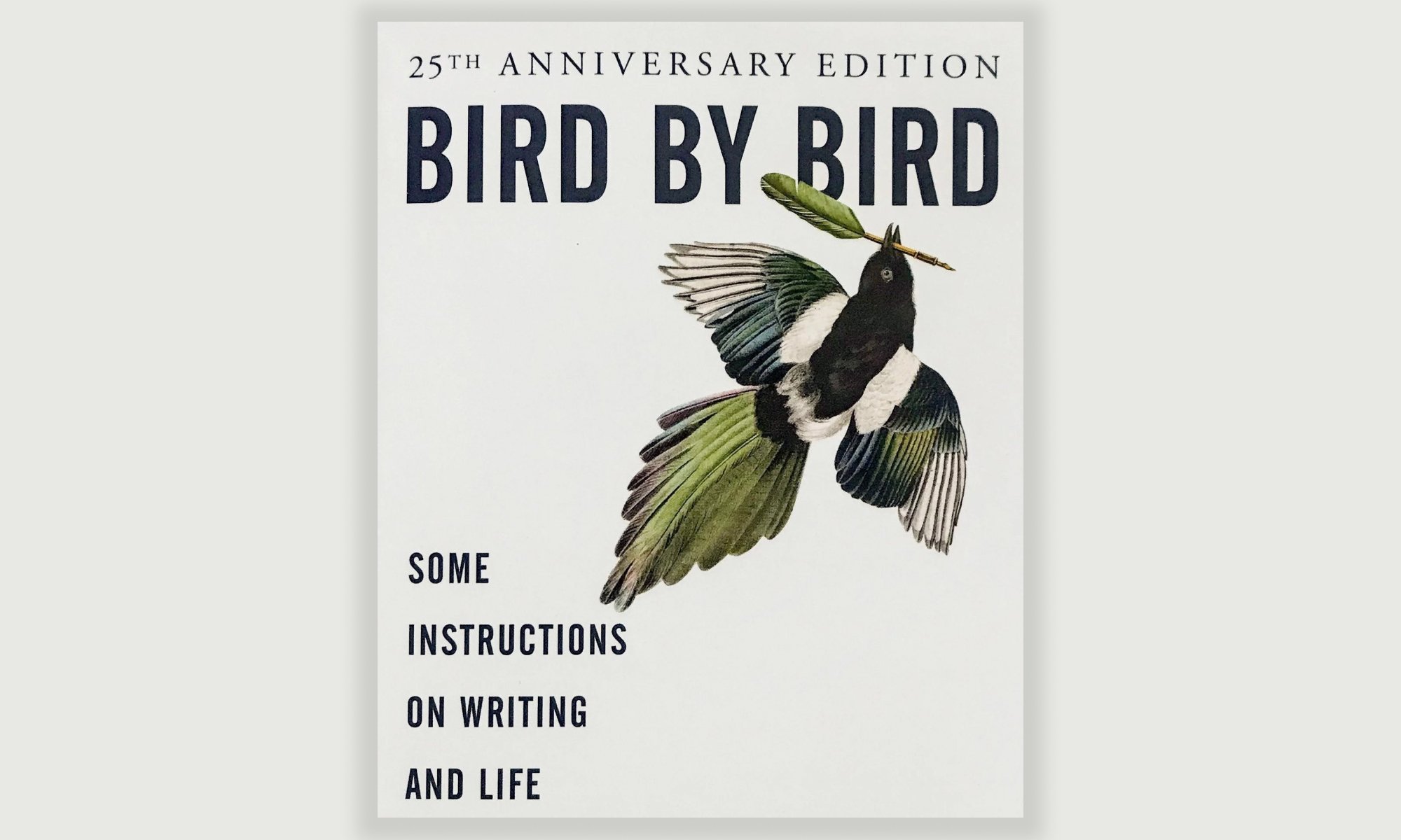 Bird by Bird Instructions on Writing and Life