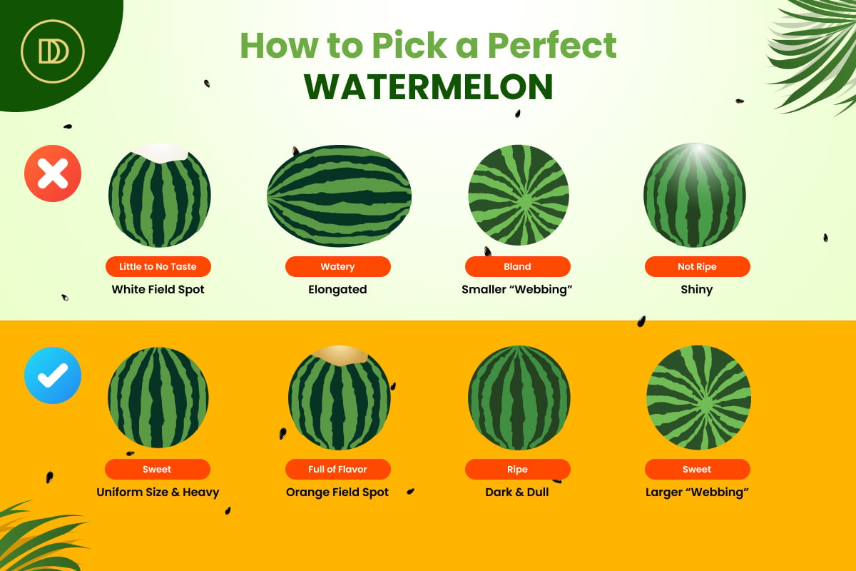 How Do You Know If a Watermelon Is Sweet