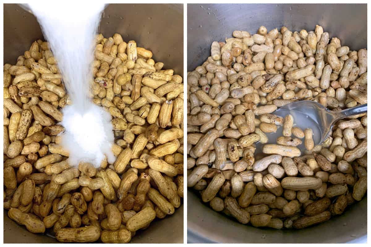 Can Boiled Peanuts Be Left Out