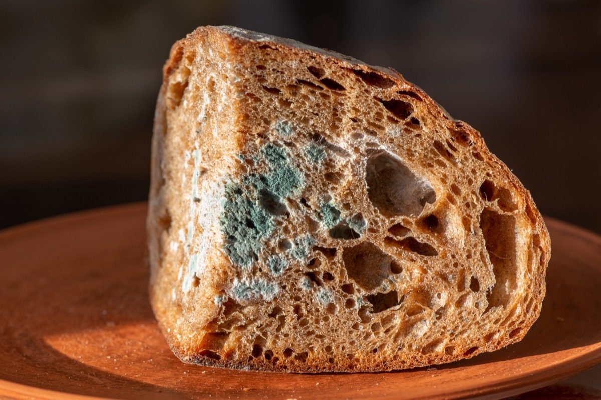 Can You Get Food Poisoning from Bread