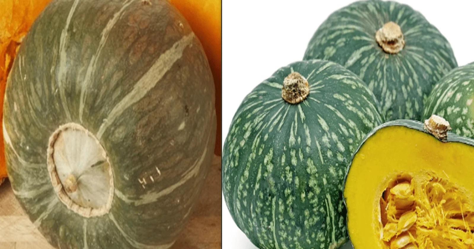 Buttercup vs Kabocha Squash