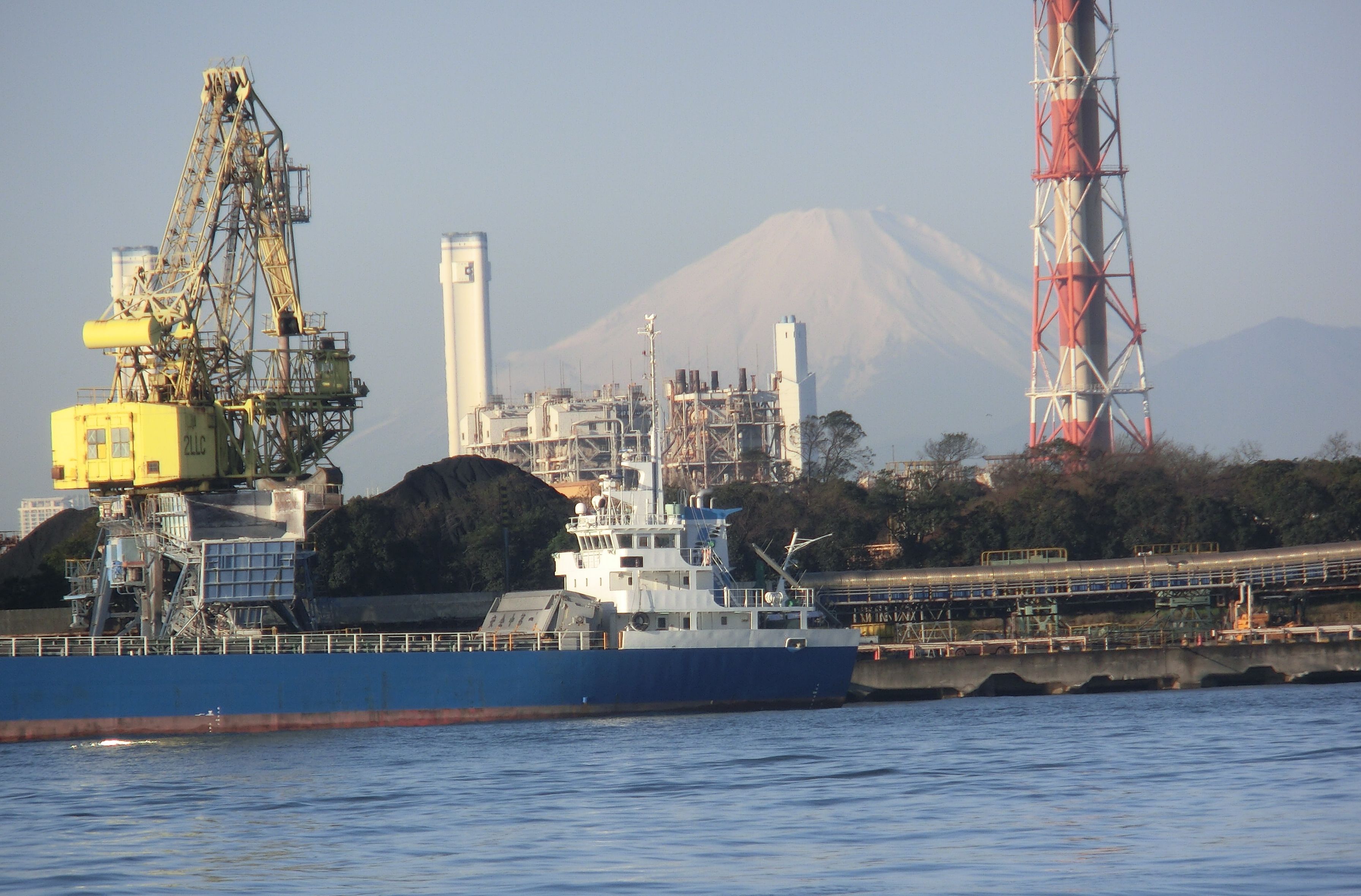 東扇島西公園の最新釣果と混雑対策2026！駐車場と売店の実態検証