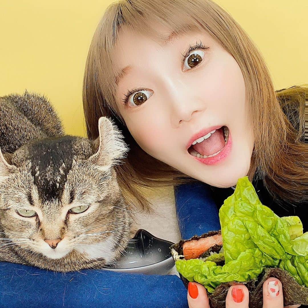 木下ゆうかの猫投げ炎上とは？生配信の真相と愛猫の現在を徹底検証