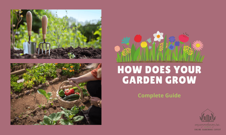 How Does Grow a Garden Work