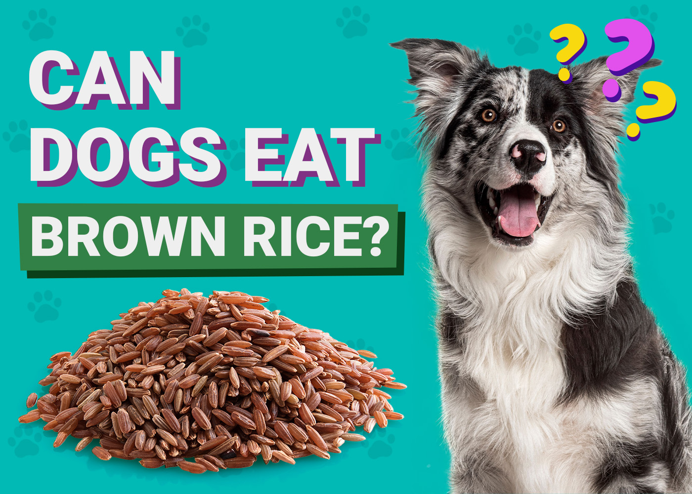Is Brown Rice Ok for Dogs
