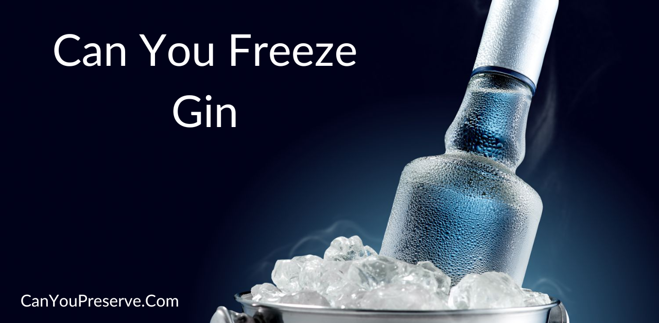 Can You Freeze Gin