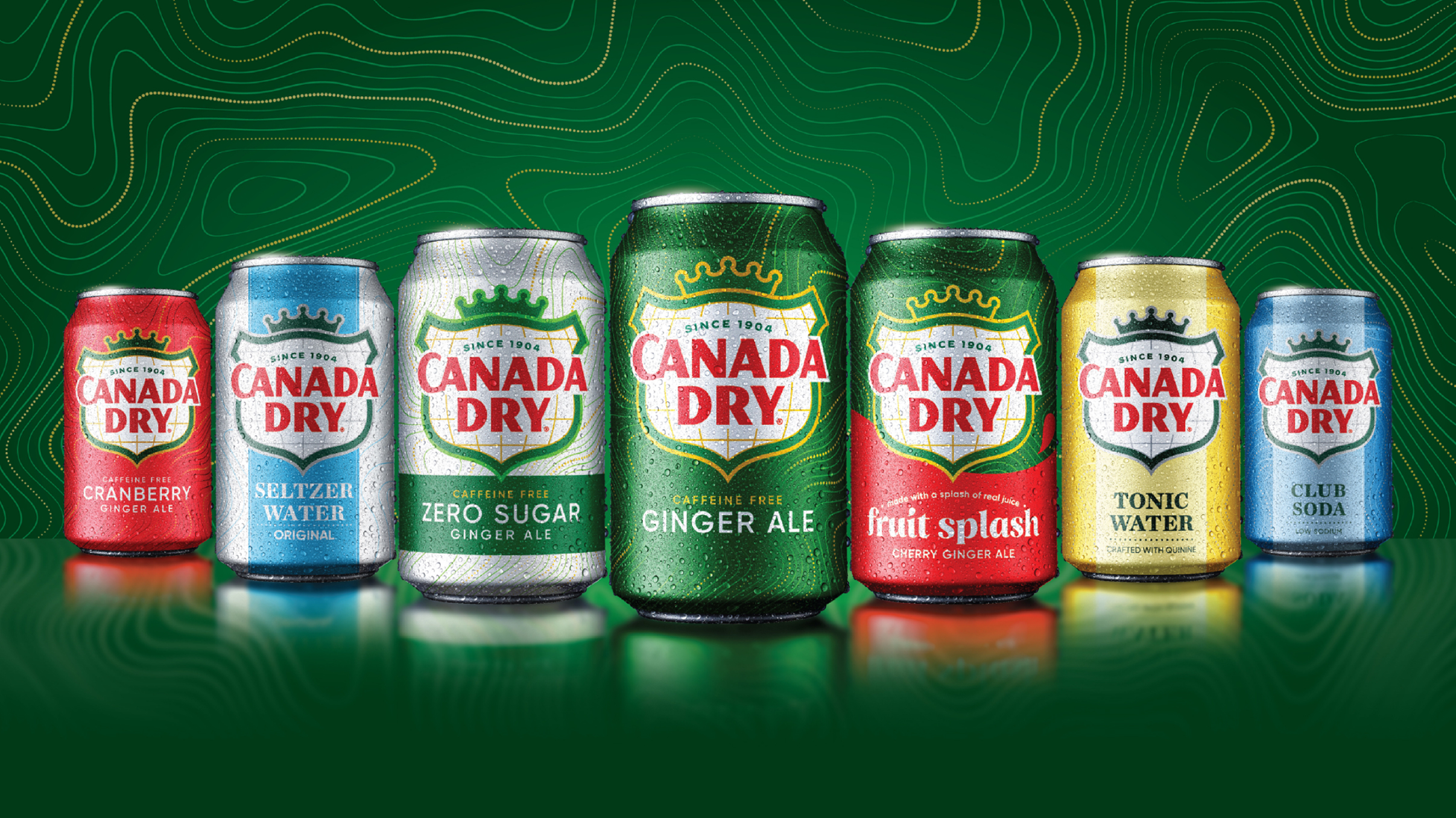 Is Canada Dry Coke Product