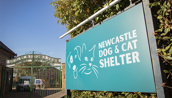 Cat and Dog Shelter Newcastle Claremont Road