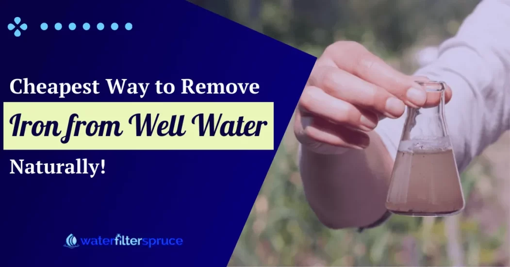 Cheapest Way to Remove Iron from Well Water