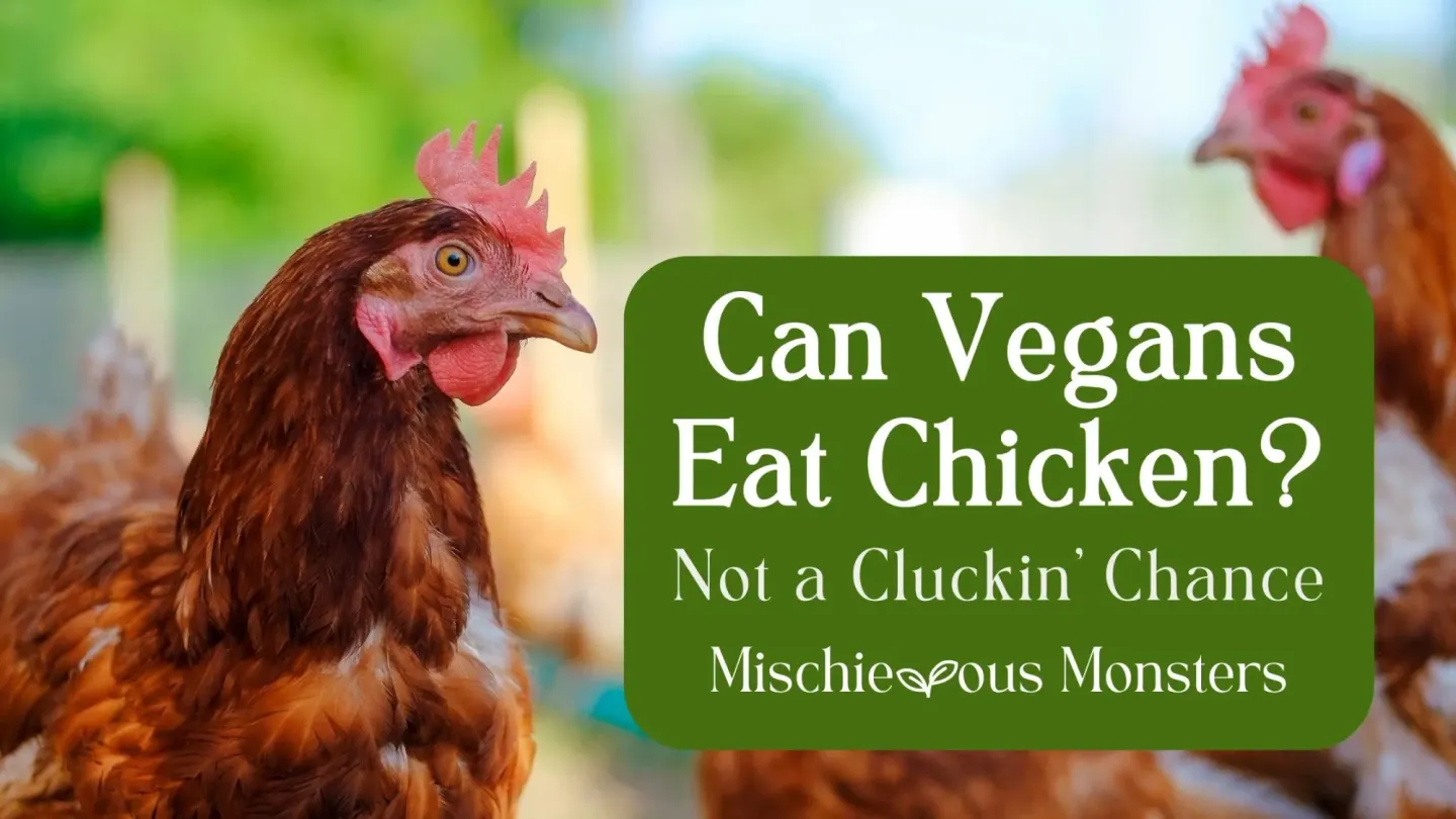 Can Vegans Eat Chicken