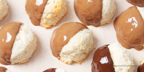 Can You Freeze Coconut Macaroon Cookies
