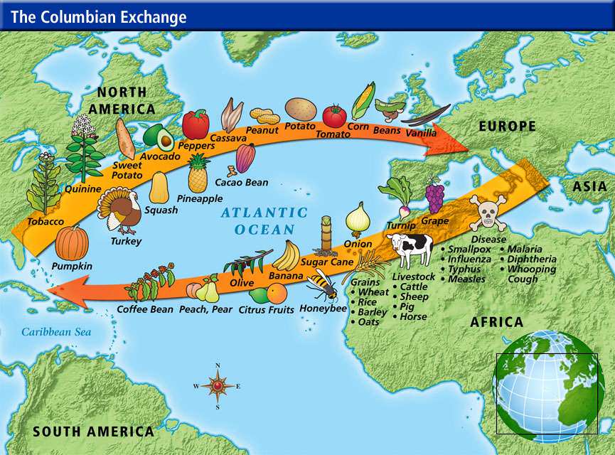 What Are the Effects of the Columbian Exchange