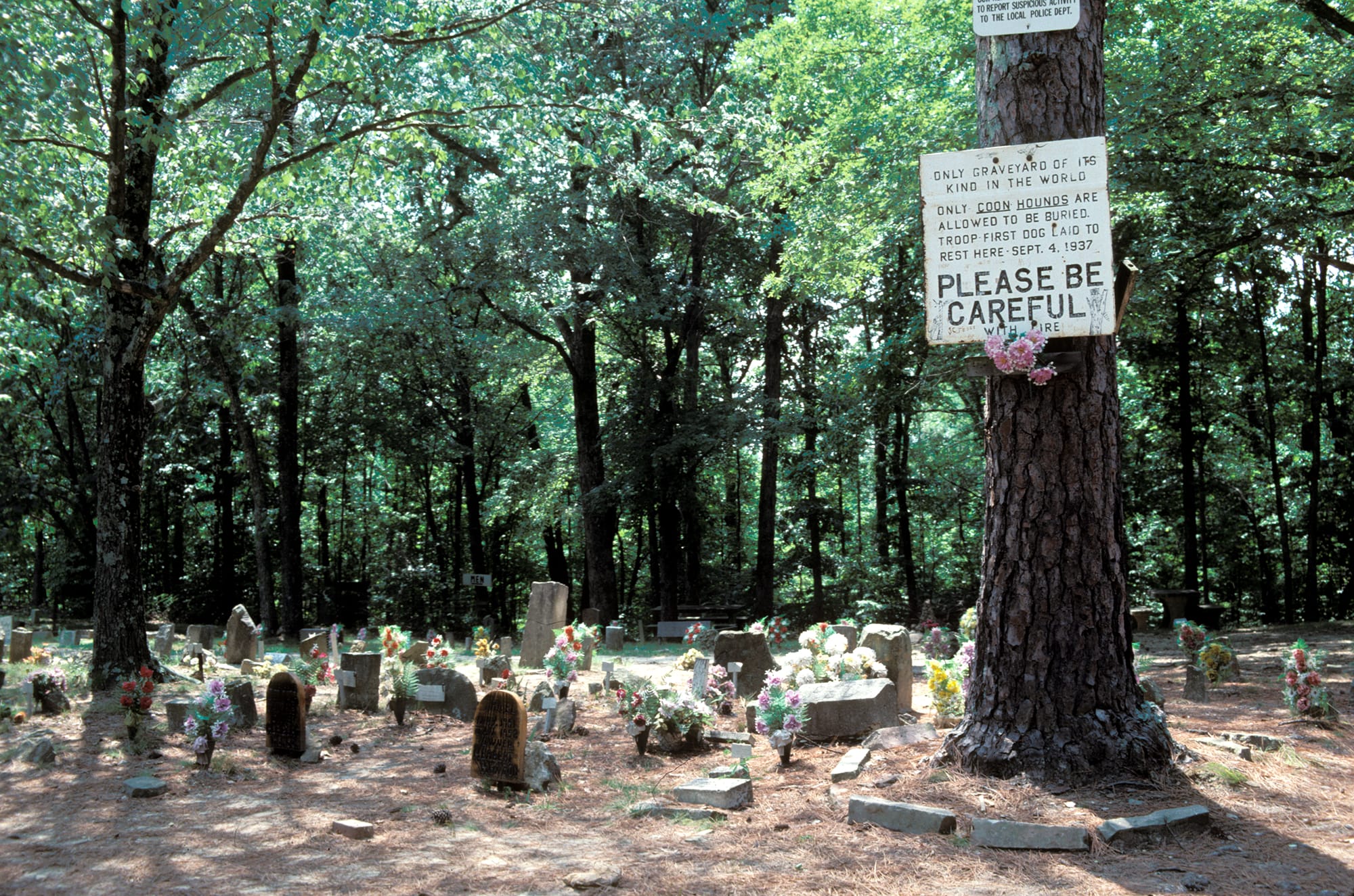 Coon Dog Cemetery Alabama
