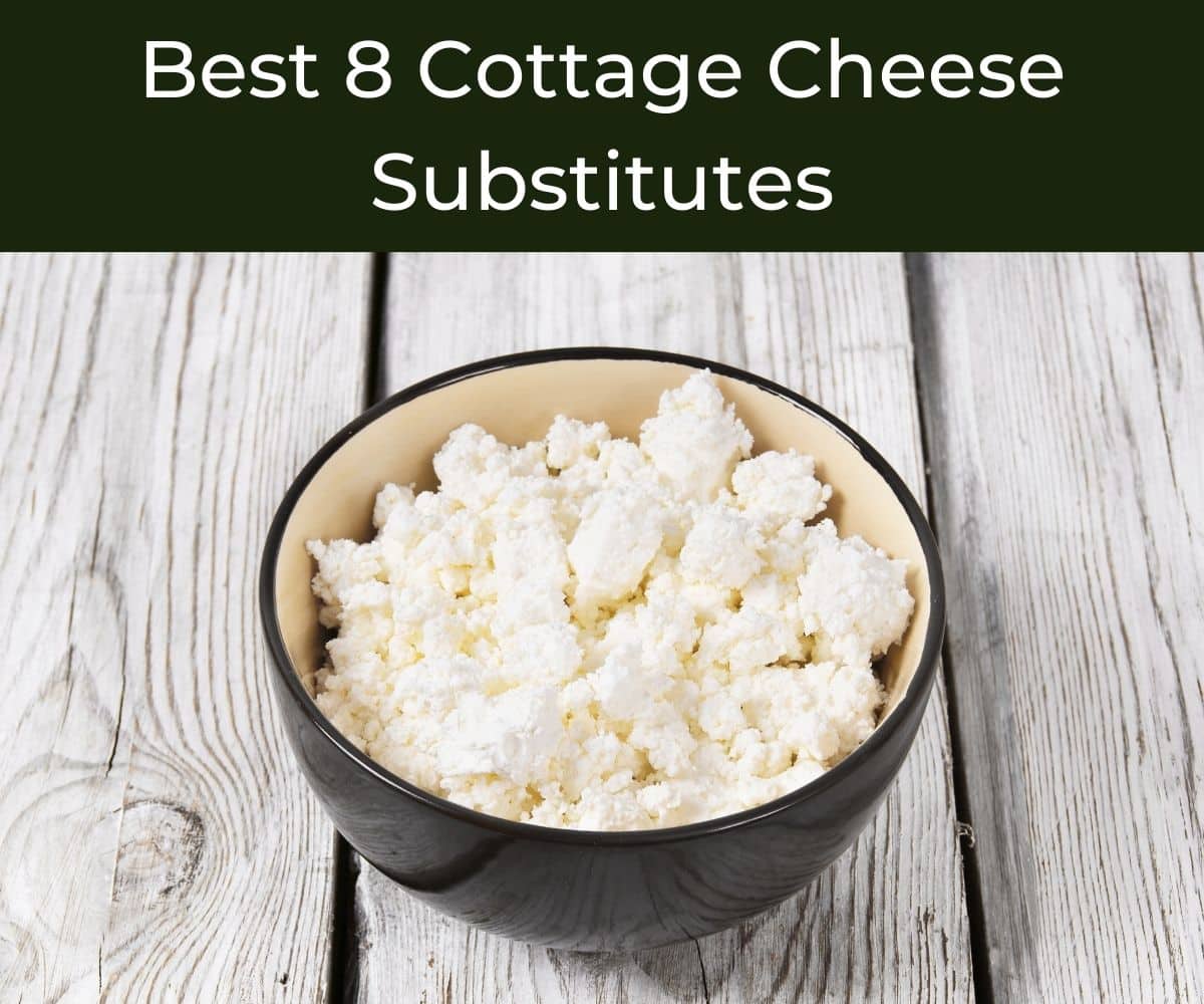 What Is Substitute for Cottage Cheese