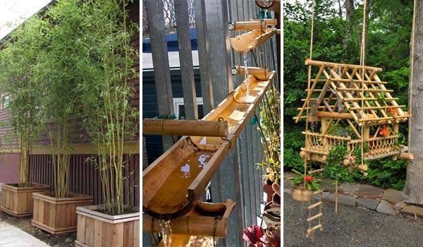 What Can You Make out of Bamboo