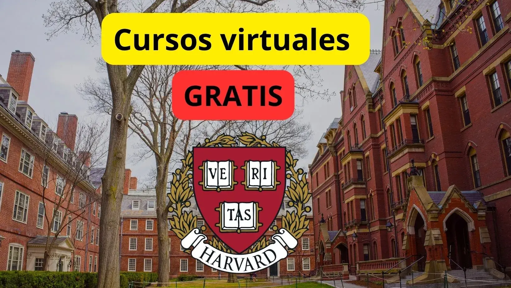 Cursos Gratis Harvard