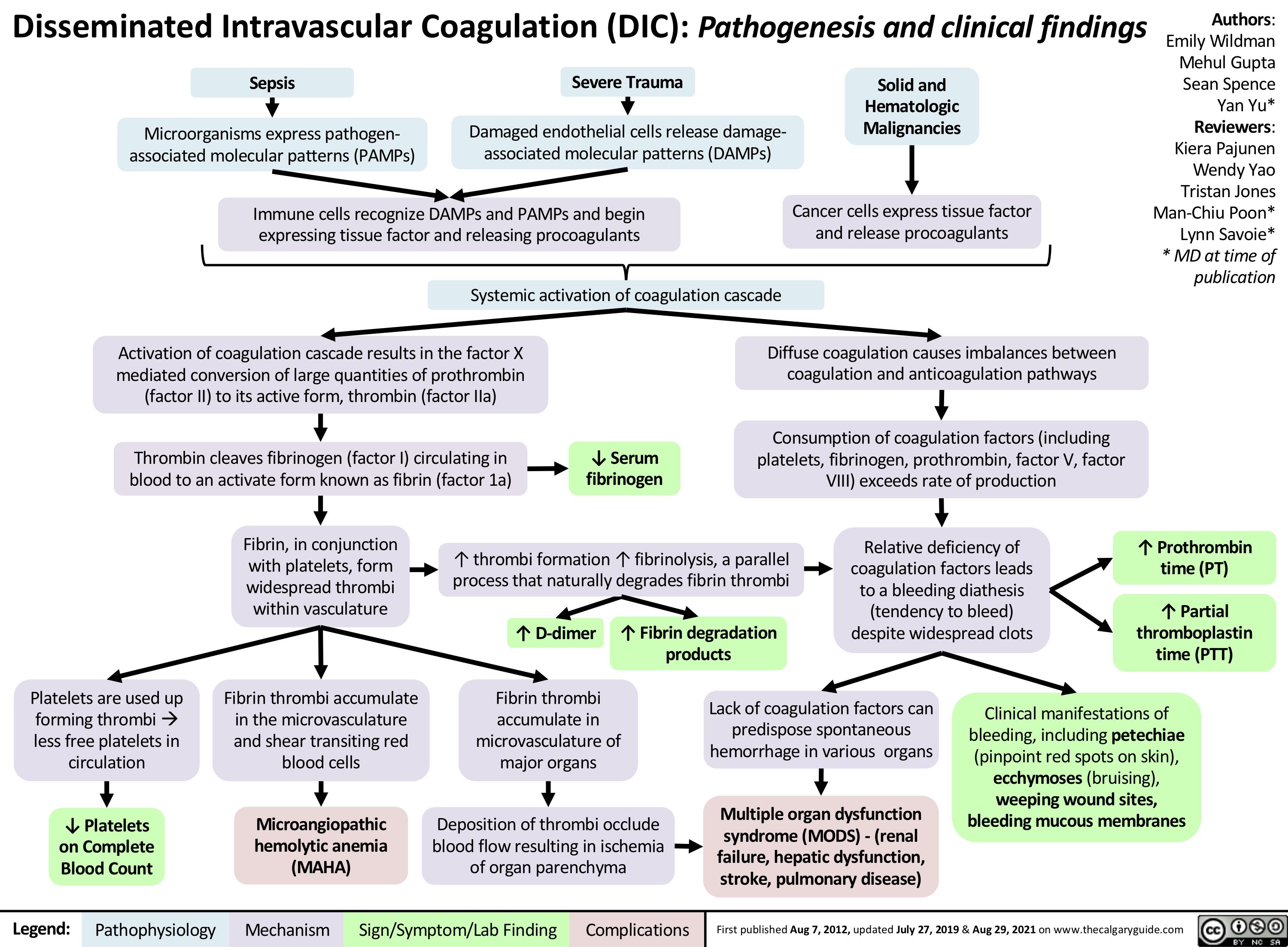 Disseminated Intravascular Coagulation Treatments
