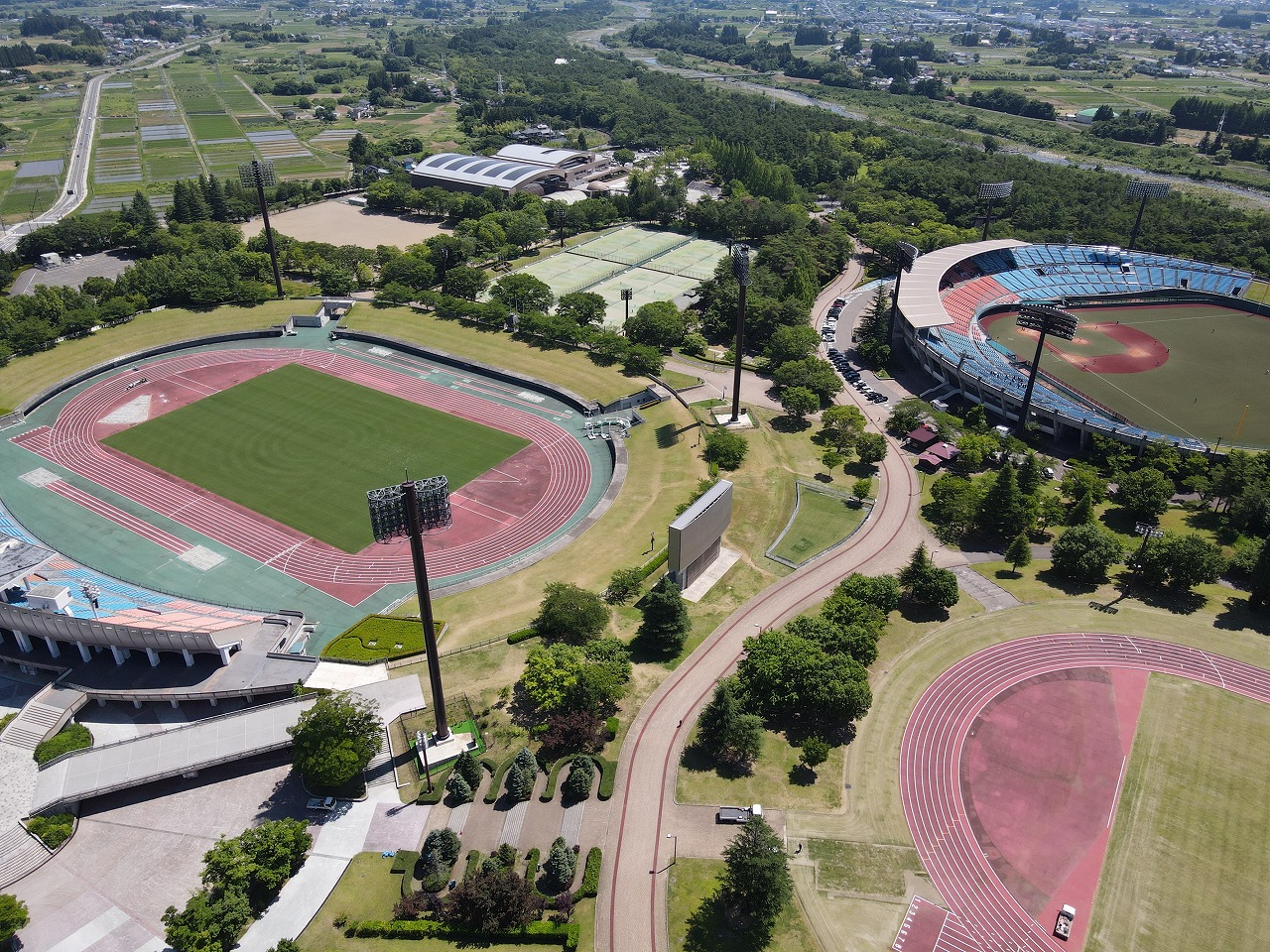 あづま総合運動公園が話題を呼ぶ理由｜黄金の並木と混雑のリアルを追う