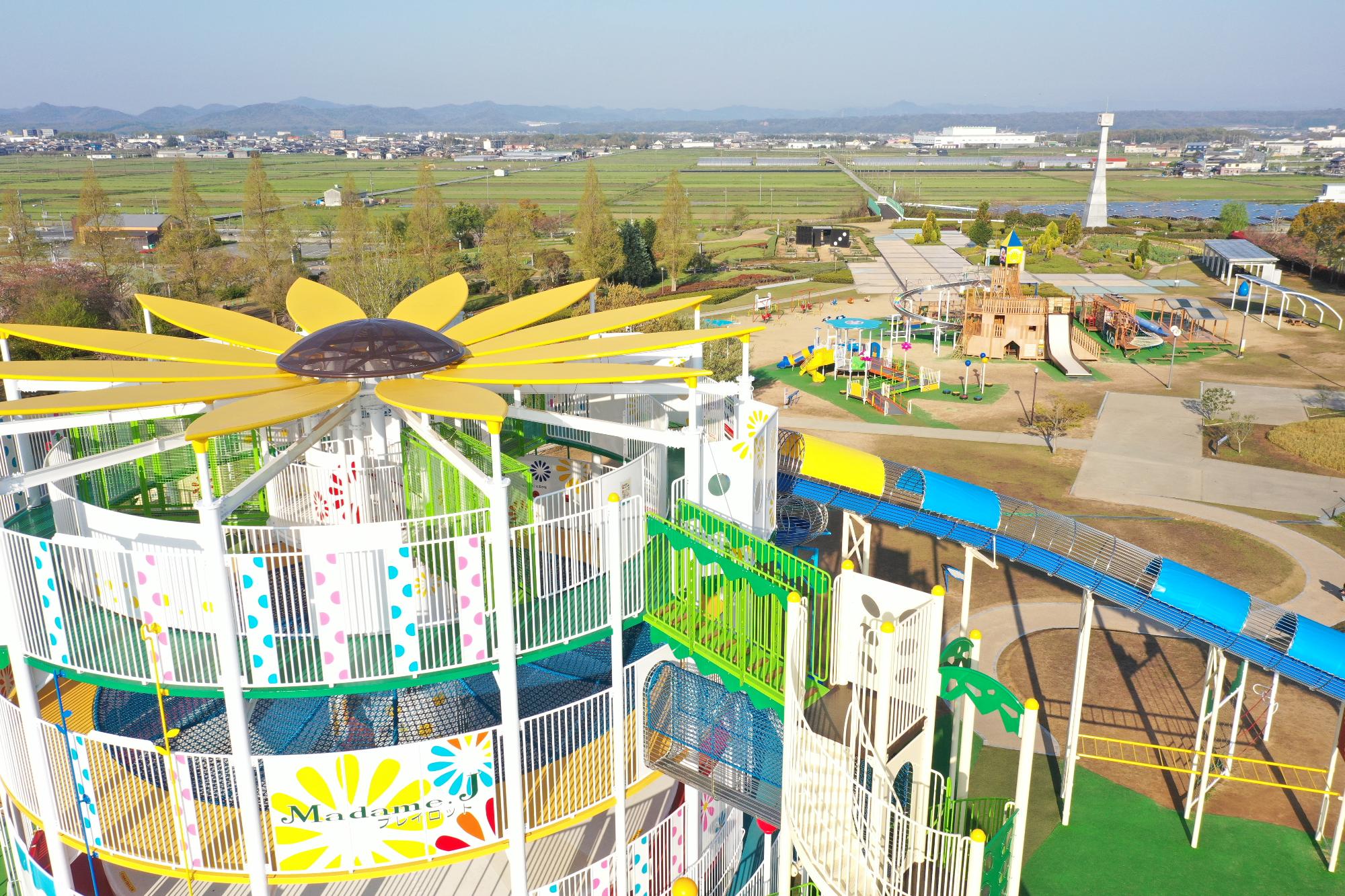 ひまわりの丘公園2026最新ガイド！見頃・遊具・混雑攻略法