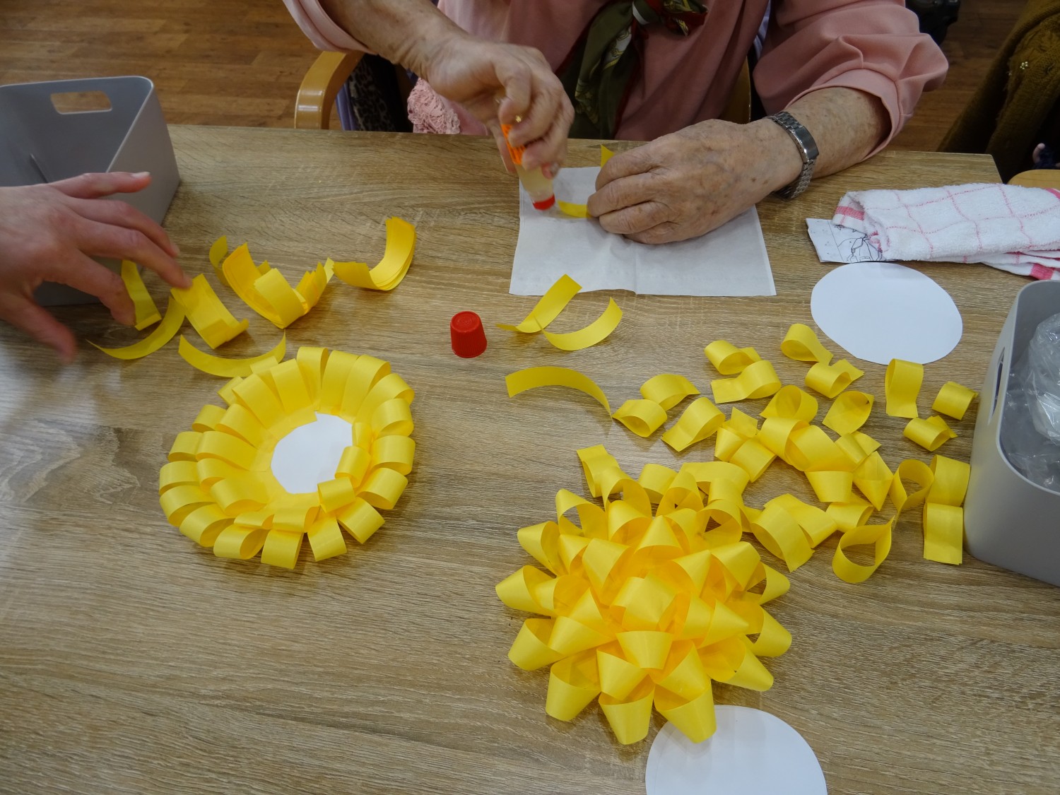 圧倒的丸さに魅了！ドーム菊の作り方と初心者も咲かせる摘心術