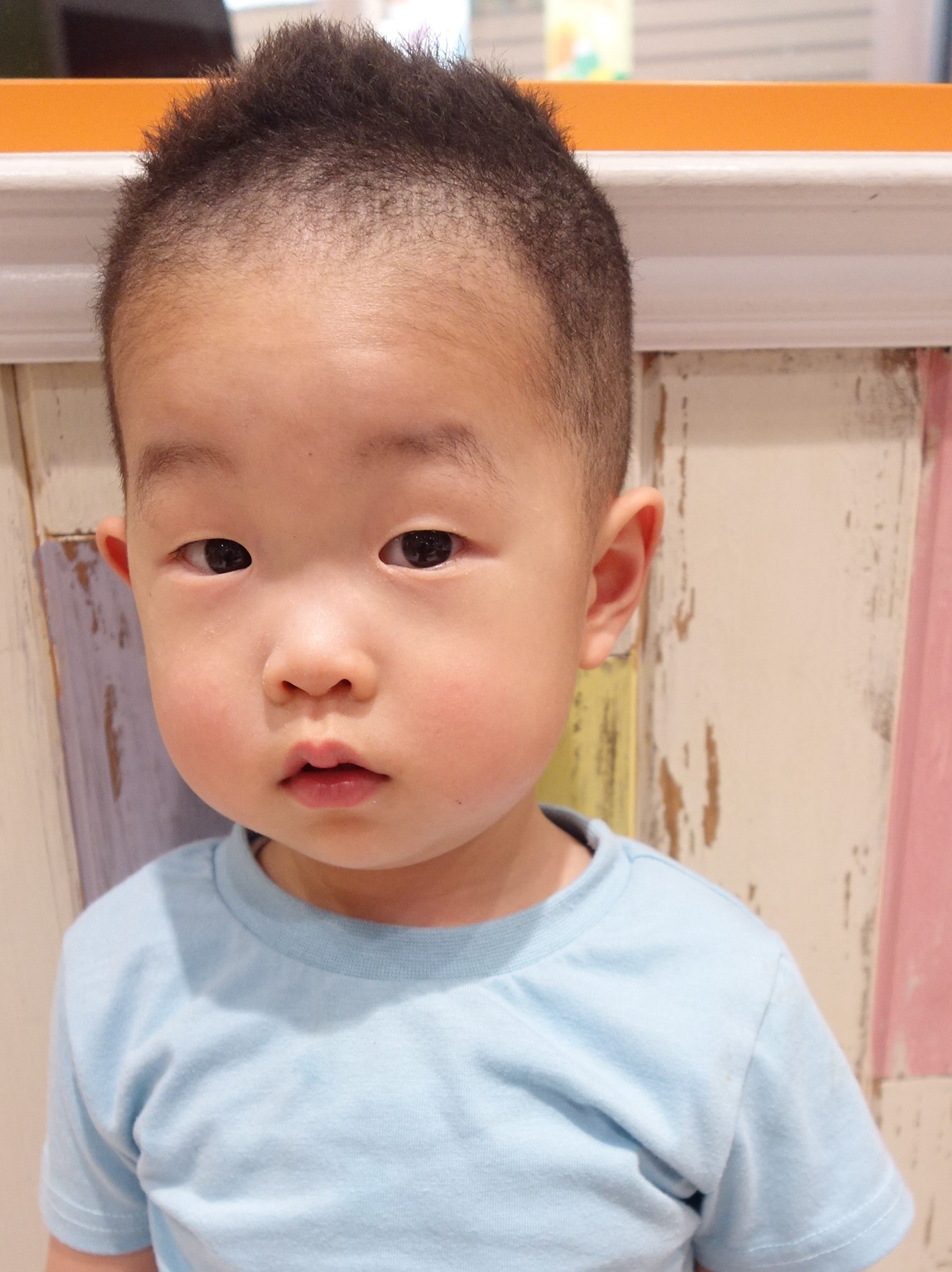 2歳の坊主頭は後悔する？髪質の真相と失敗しないバリカン設定・対策全解説