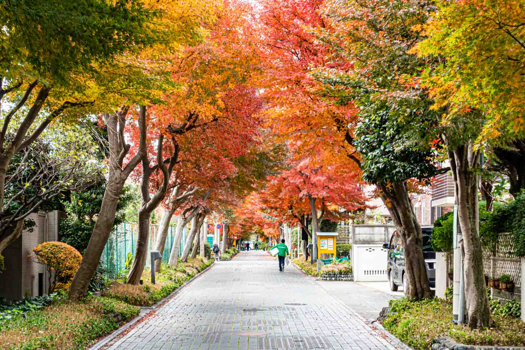 世田谷区用賀の住みやすさを徹底検証！治安・相場と後悔しない街選び