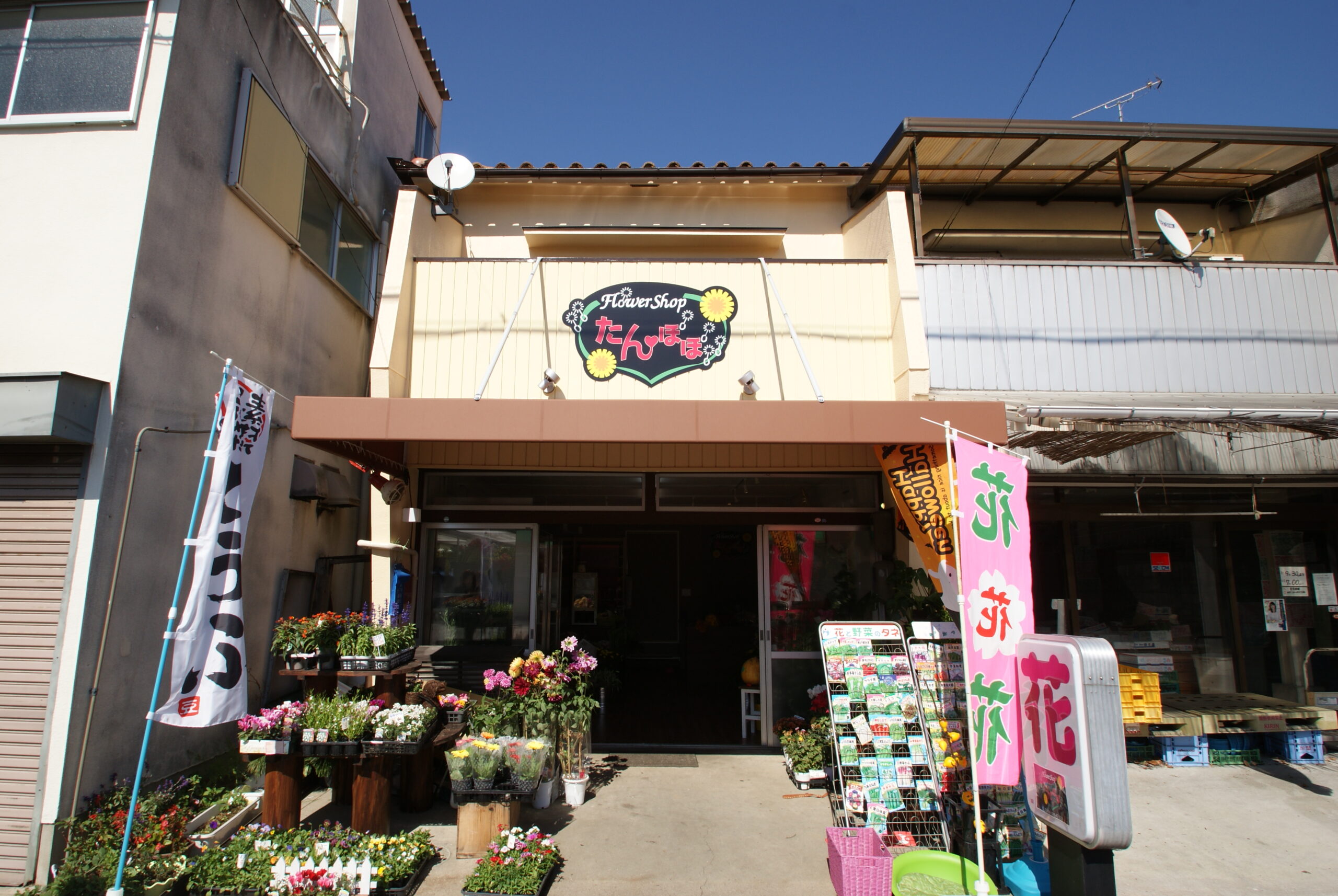 フラワーショップたんぽぽの評判と口コミ！花束の値段や配達を徹底調査