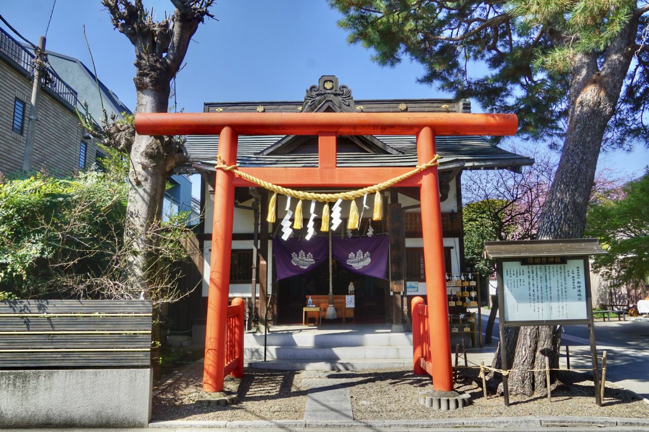 東京の猿田彦神社総まとめ2026｜みちひらき名所と分社の真相