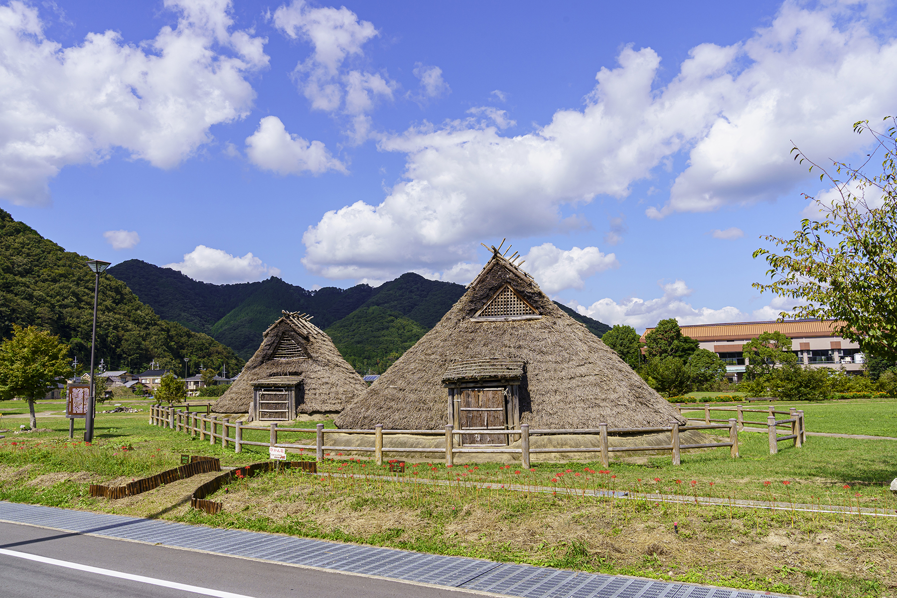 新宮宮内遺跡の全貌解明！古代播磨を揺るがす大集落と官衙の真相
