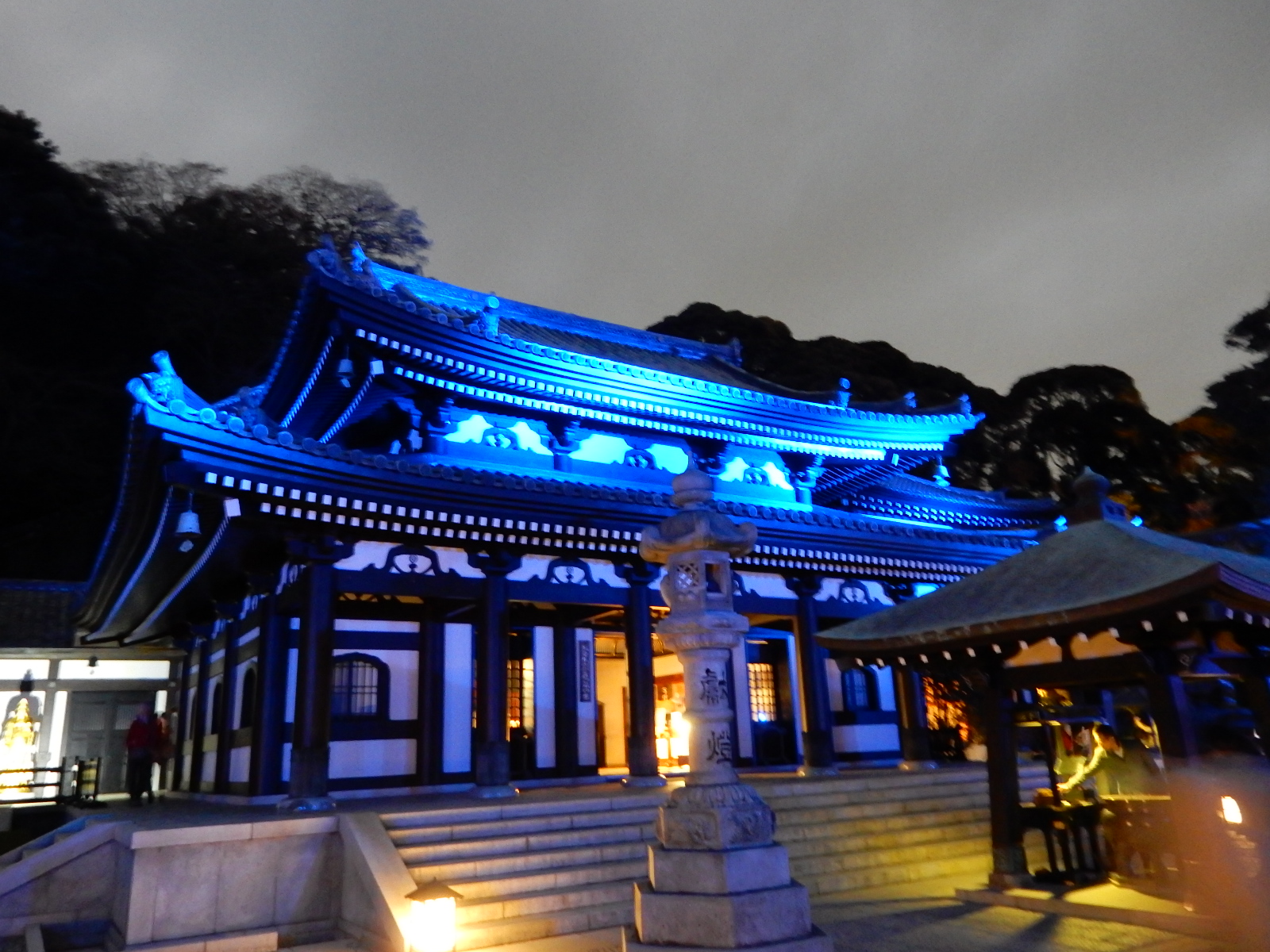 古都を彩る長谷寺の紫陽花と絶景！混雑を避ける穴場ルート完全解説