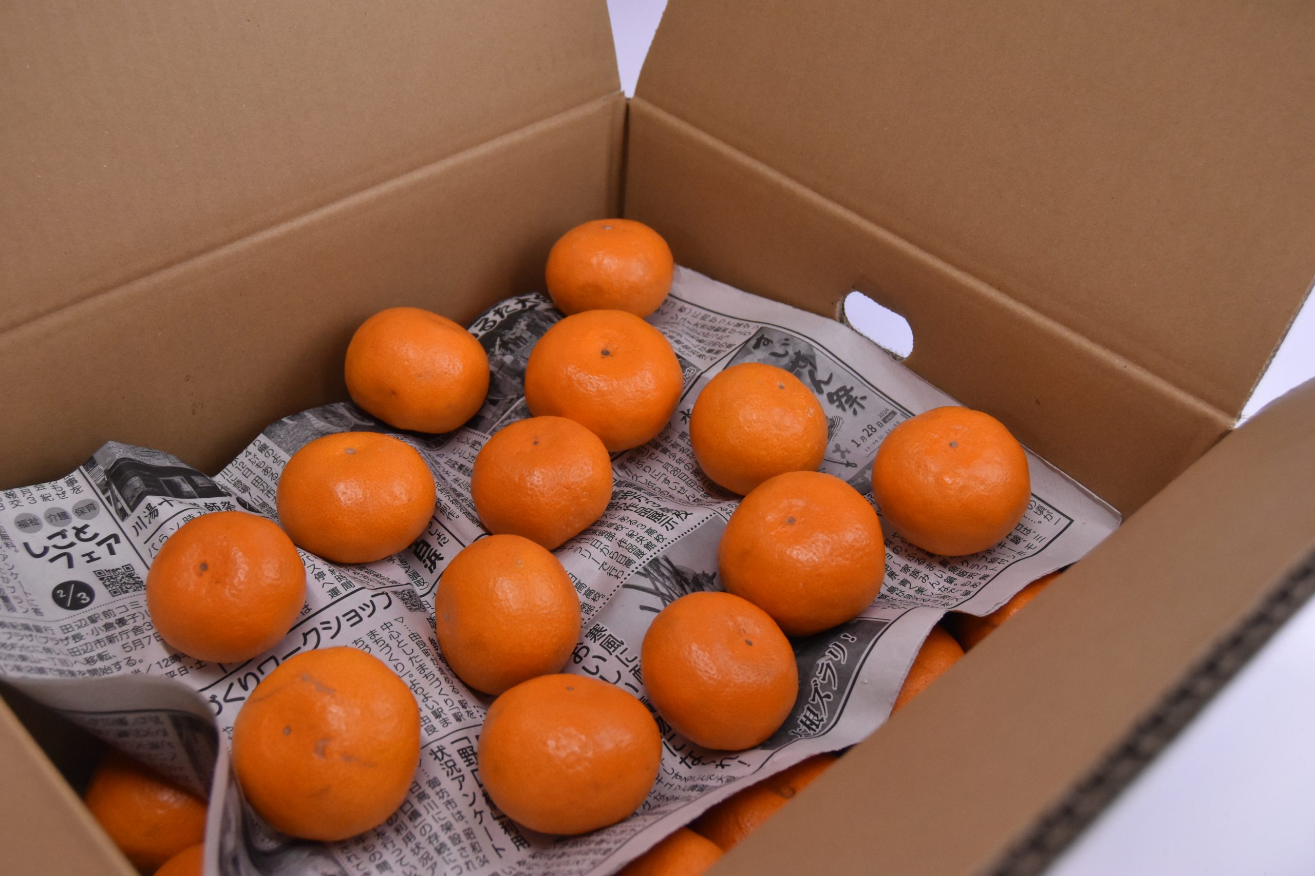 箱買いみかんを1ヶ月持たせる保存術！カビを防ぐプロの裏ワザ徹底解説