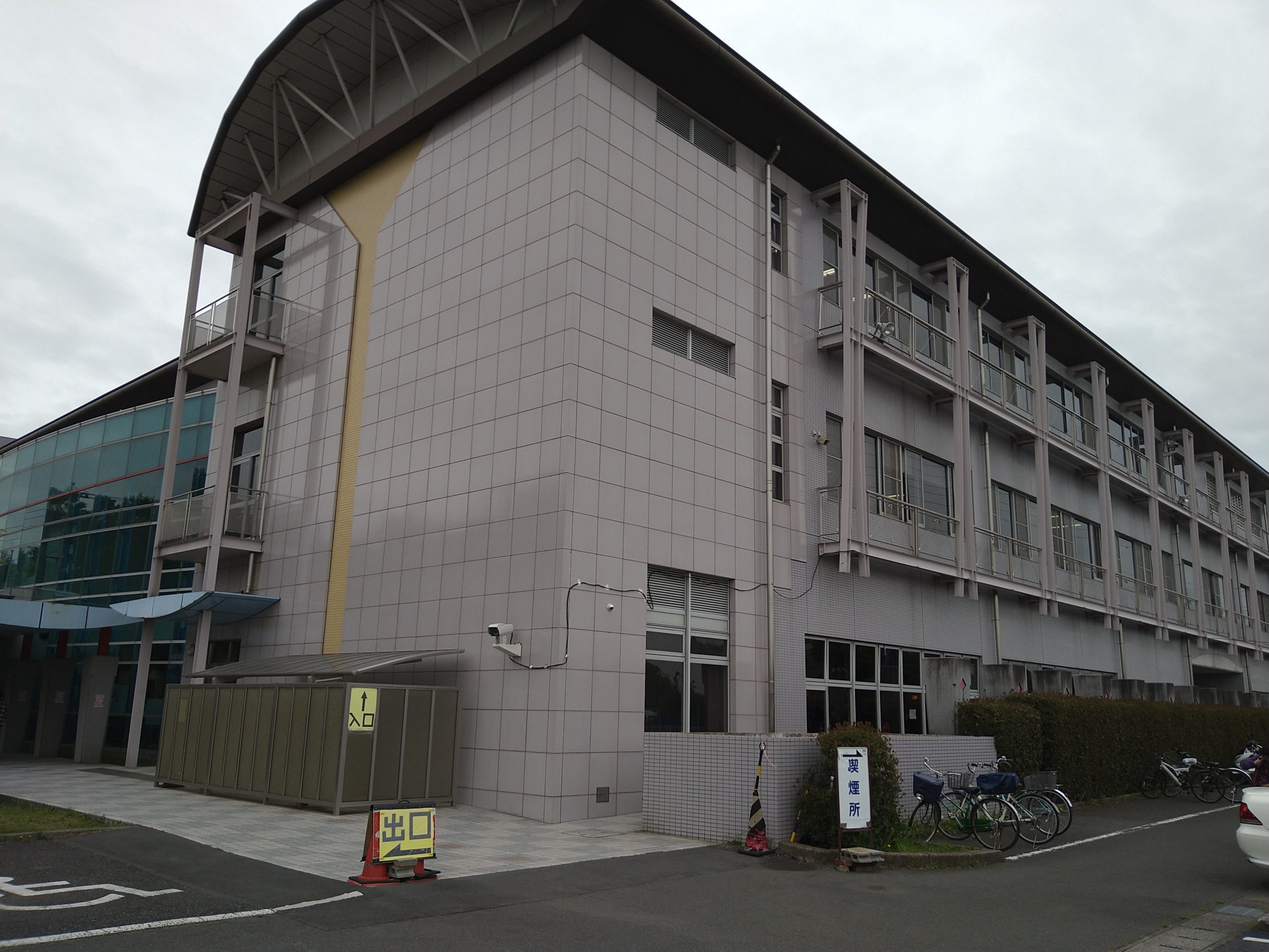 【2026年】流山運転免許センター完全攻略！日曜混雑回避と予約手順